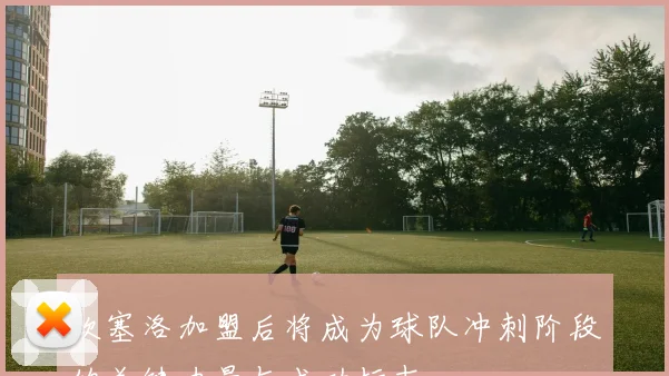 坎塞洛加盟后将成为球队冲刺阶段的关键力量与成功标志