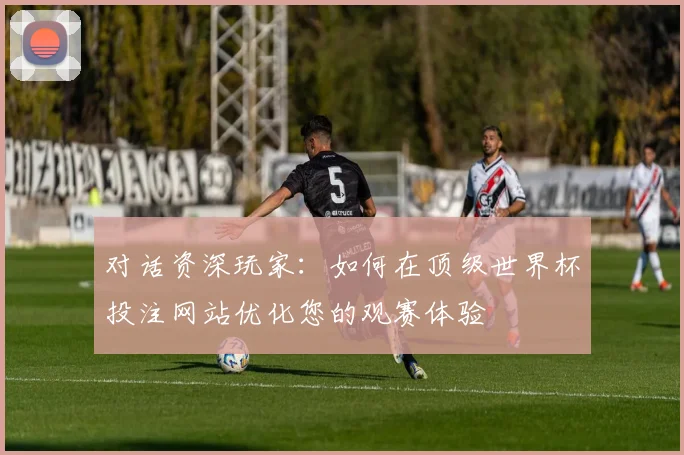 对话资深玩家:如何在顶级世界杯投注网站优化您的观赛体验