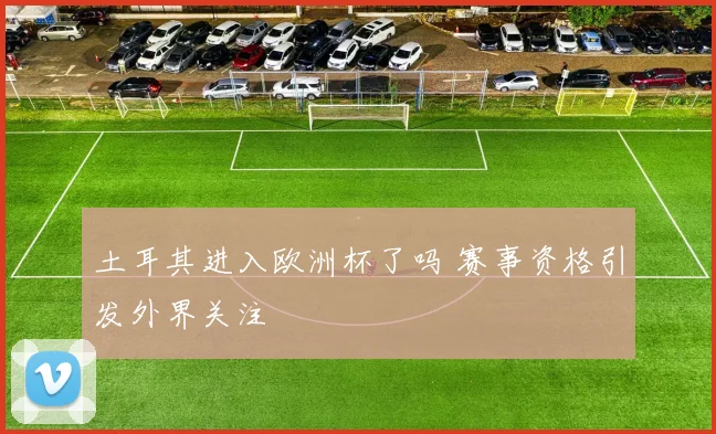 土耳其进入欧洲杯了吗 赛事资格引发外界关注