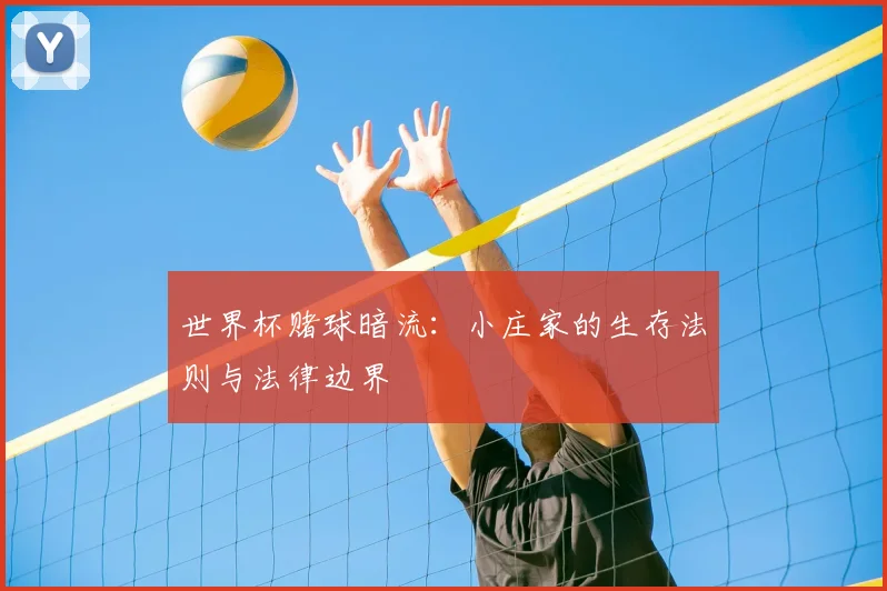 世界杯赌球暗流：小庄家的生存法则与法律边界