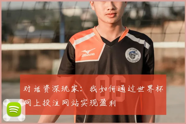 对话资深玩家:我如何通过世界杯网上投注网站实现盈利