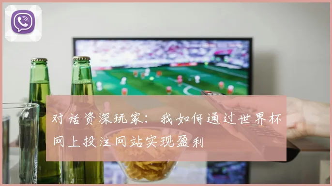 对话资深玩家：我如何通过世界杯网上投注网站实现盈利