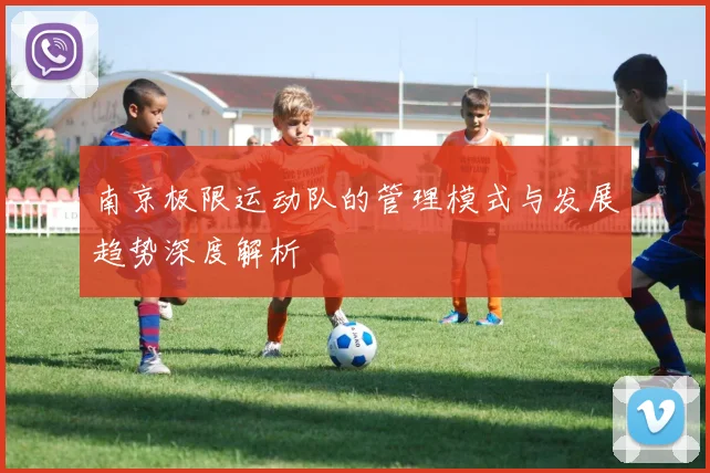 南京极限运动队的管理模式与发展趋势深度解析