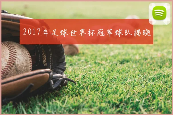 2017年足球世界杯冠军球队揭晓