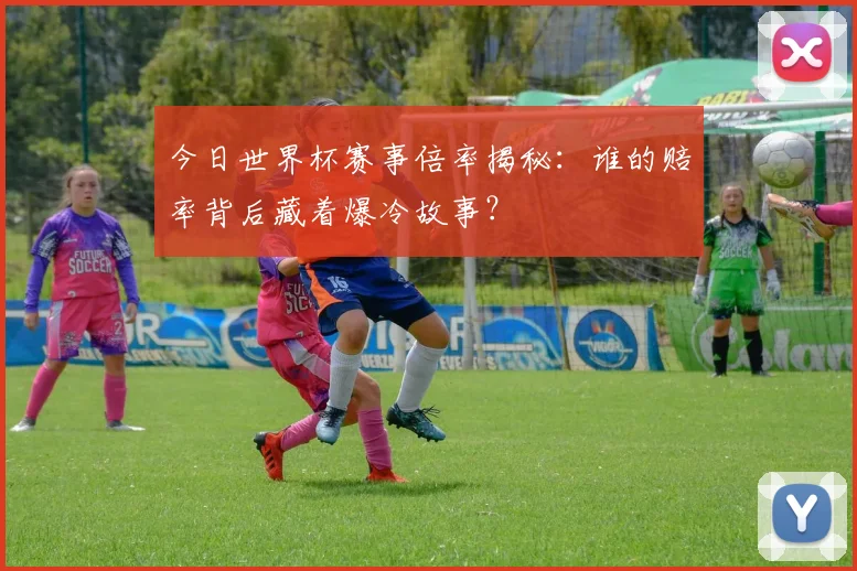 今日世界杯赛事倍率揭秘：谁的赔率背后藏着爆冷故事？