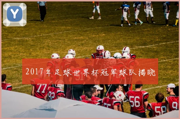 2017年足球世界杯冠军球队揭晓