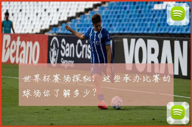 世界杯赛场探秘:这些承办比赛的球场你了解多少?