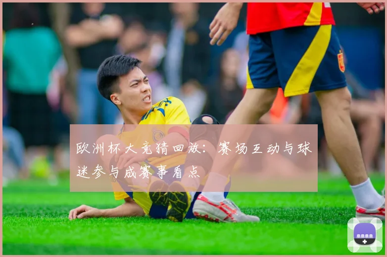 欧洲杯大竞猜回放：赛场互动与球迷参与成赛事看点