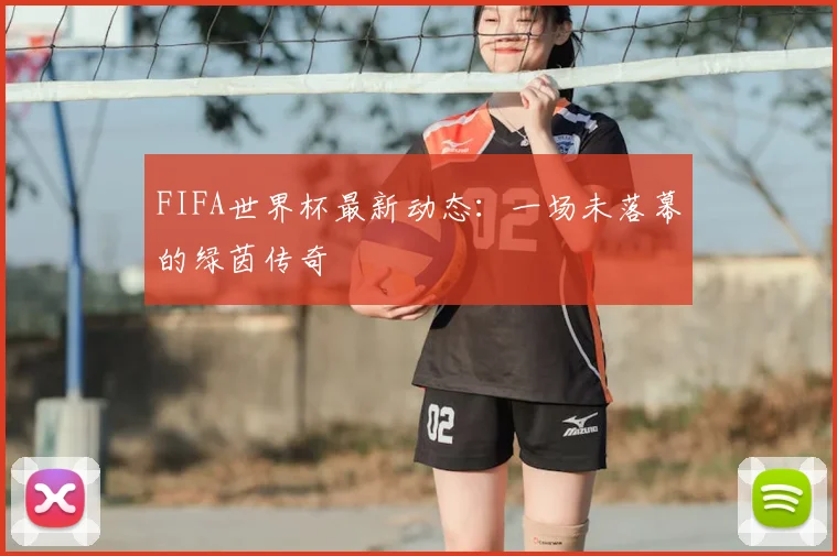 FIFA世界杯最新动态：一场未落幕的绿茵传奇