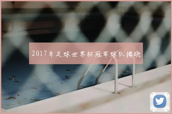 2017年足球世界杯冠军球队揭晓