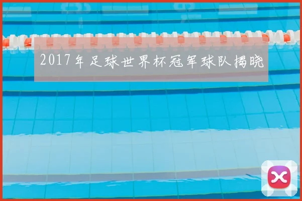 2017年足球世界杯冠军球队揭晓