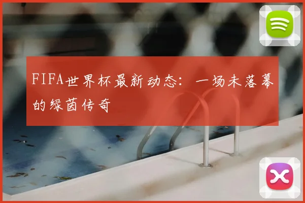 FIFA世界杯最新动态：一场未落幕的绿茵传奇