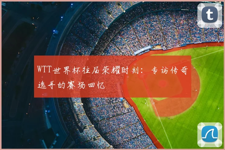 WTT世界杯往届荣耀时刻：专访传奇选手的赛场回忆